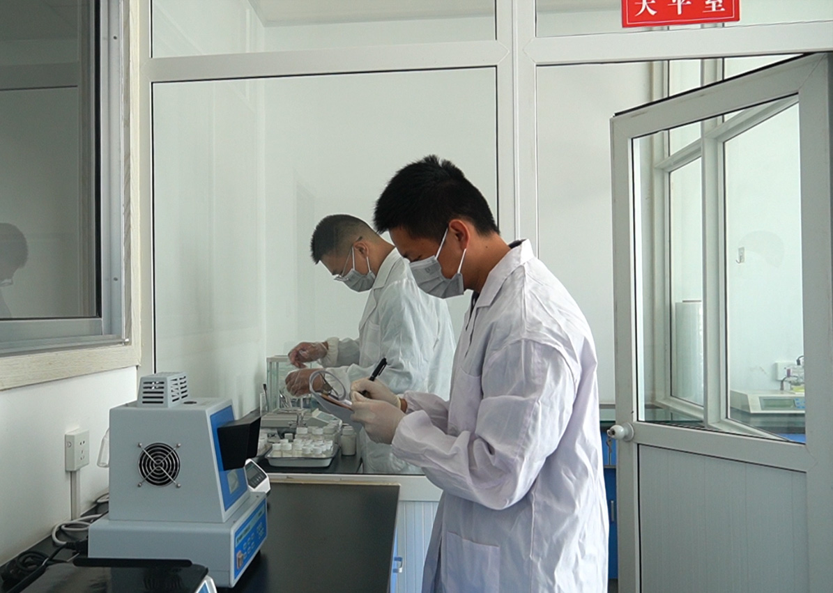 Professional R&D for a Strong Core